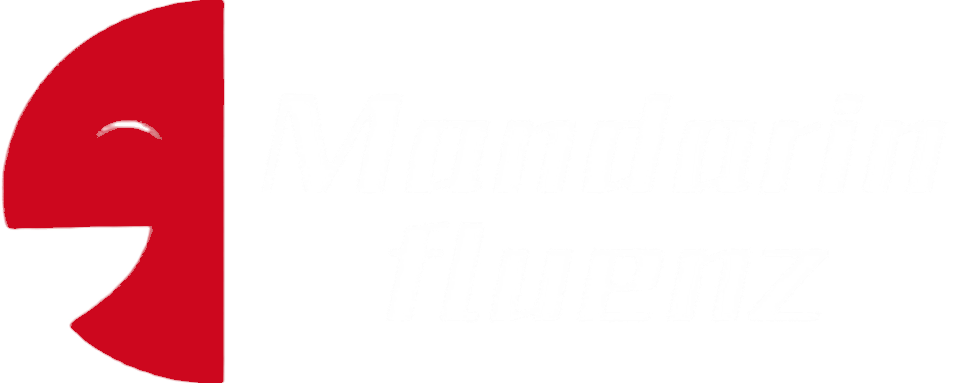 Mandarin Fluenz Logo